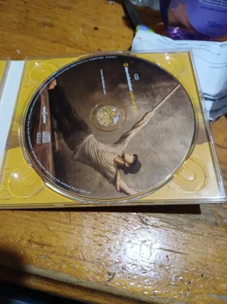 CD David Bisbal Premonición