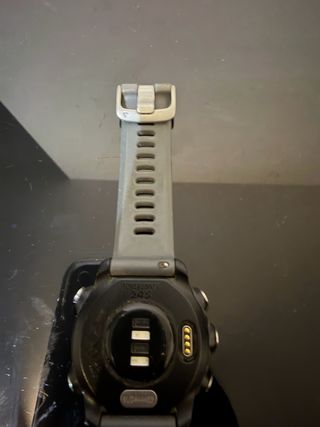 Reloj Garmin Forerunner 245 Gris