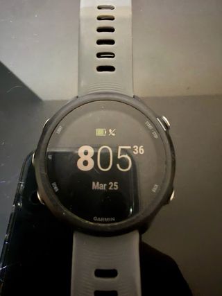 Reloj Garmin Forerunner 245 Gris