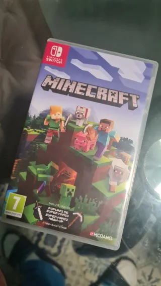 Minecraft Nintendo Switch