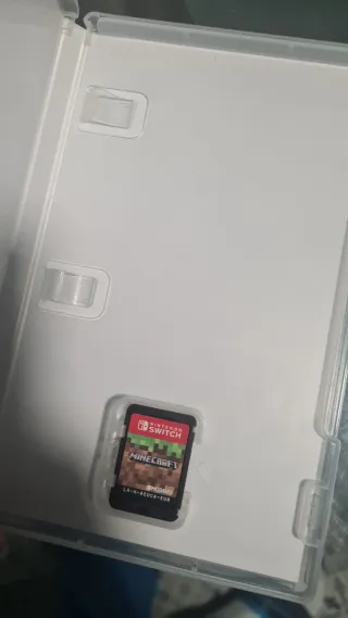 Minecraft Nintendo Switch