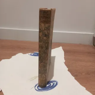 Libro la última sonrisa 1891