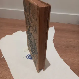 Libro la última sonrisa 1891