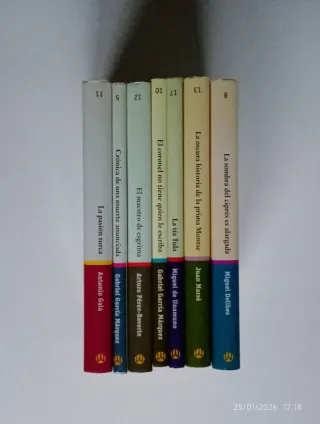 Colección mejores novelas en castellano del S. XX