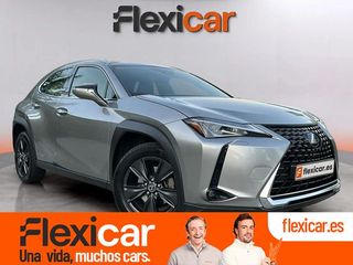Lexus UX 2.0 250h Business