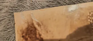 Vinilo Revolver Si no hubiera que comer