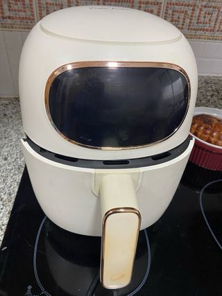 Freidora Taylor Swoden Ava sin aceite