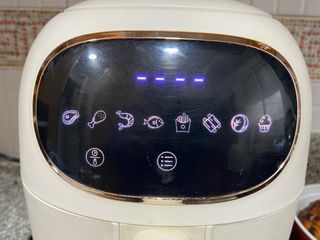 Freidora Taylor Swoden Ava sin aceite