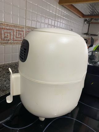 Freidora Taylor Swoden Ava sin aceite