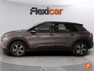 Citroën C4 Cactus PureTech 110 S&S Feel