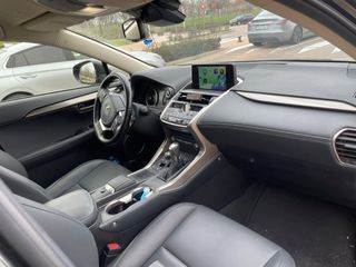 Lexus NX 300h Premium 2WD - Dic 2020 - 60.000 km