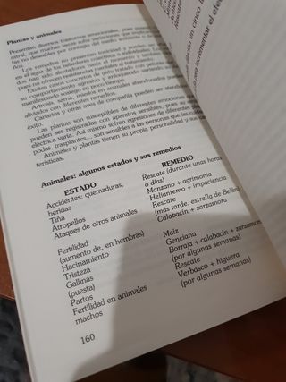 Esencias Florales Orquideas del Amazonas y E (Spanish Edition)