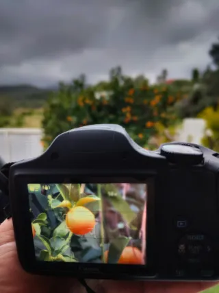 Canon SX 540 HS Cámara Digital