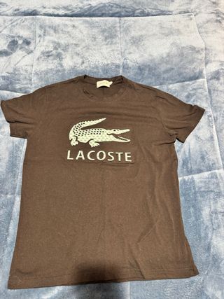 Camiseta Lacoste Marrón Cocodrilo