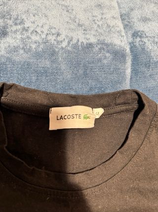 Camiseta Lacoste Marrón Cocodrilo