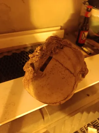 Calavera decorativa terror