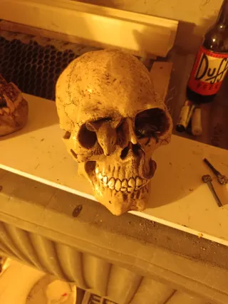 Calavera decorativa terror