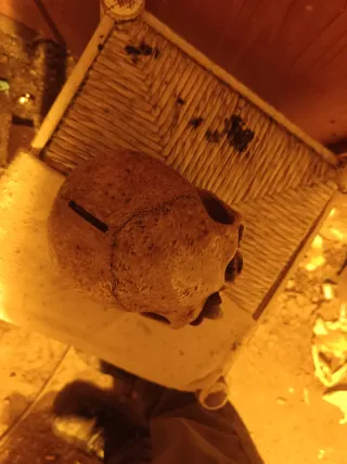 Calavera decorativa terror