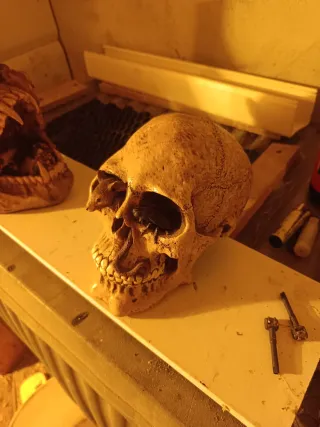 Calavera, dado y bruja decorativos