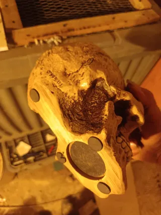 Calavera, dado y bruja decorativos