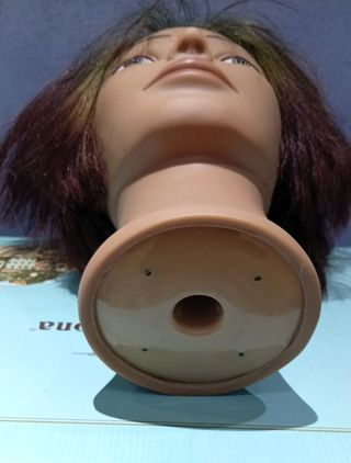 Testa parrucchieri Davines per esercitazione