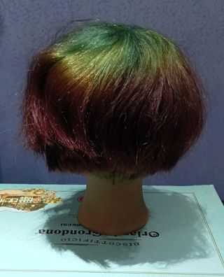 Testa parrucchieri Davines per esercitazione