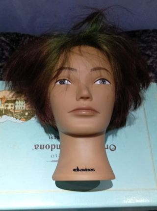 Testa parrucchieri Davines per esercitazione