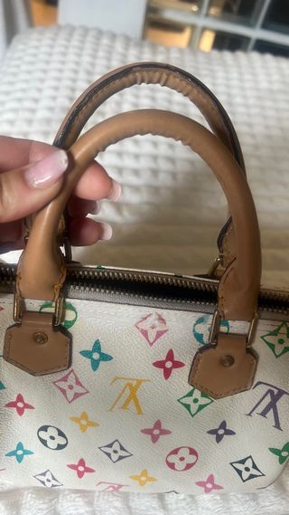 Borsa Mini Speedy Multicolore