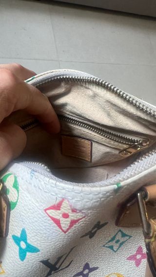 Borsa Mini Speedy Multicolore