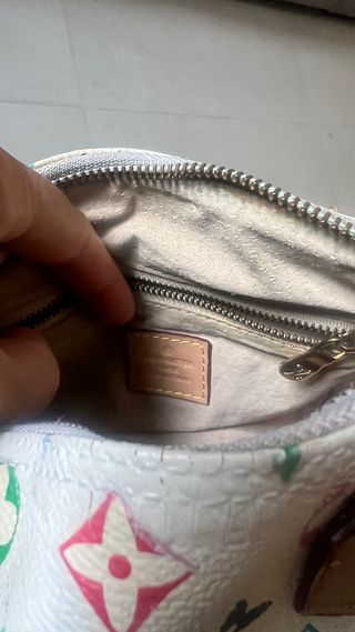 Borsa Mini Speedy Multicolore