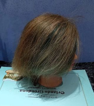 Xanitalia Testa Parrucchiere