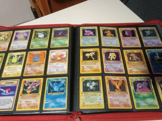 Álbum Cartas Pokémon Profesional 480 Tarjetas