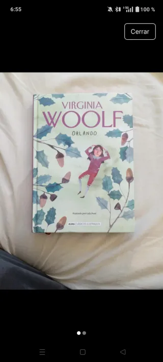 Orlando (Clásicos ilustrados) (Spanish Edition)