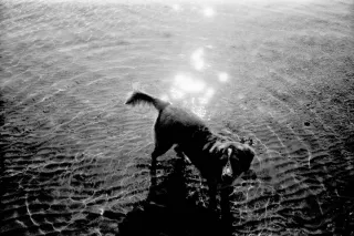 Cámara Kodak VR35 Analógica Compacta