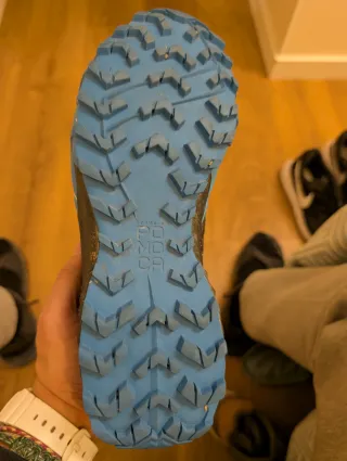 Zapatillas Trail Running Dynafit Negras/Azules