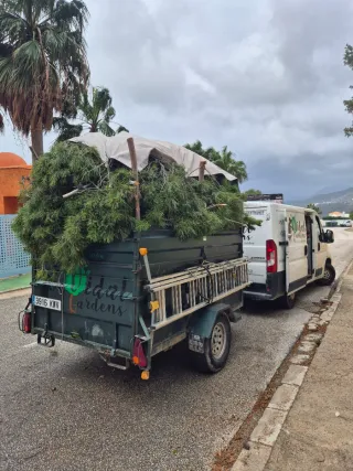 Alquiler remolque para residuos jardín