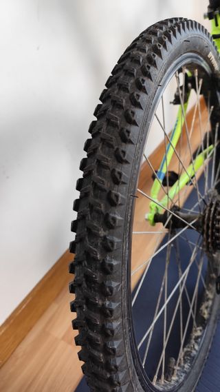 Bicicleta Infantil Rin 24