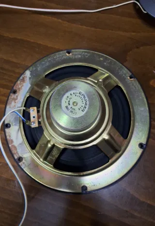 Altavoces Pioneer Negro