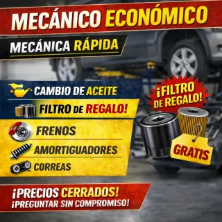 Mecánico con experiencia | Servicio económico