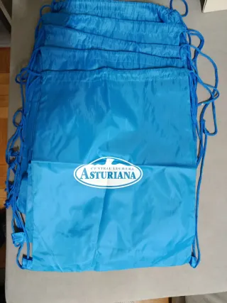 Lote 5 Zaini Central Lechera Asturiana