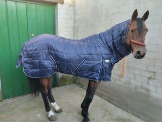 Manta para caballo con cubrecuello