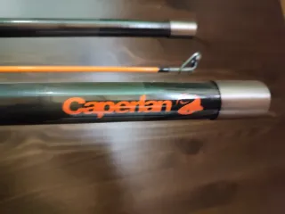 Caña de pescar con carrete y línea