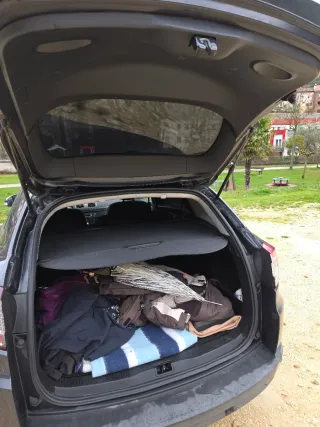 Renault Megane sportourer