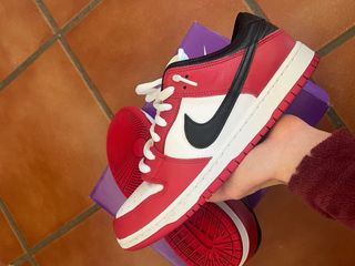 Nike SB Dunk Low Chicago