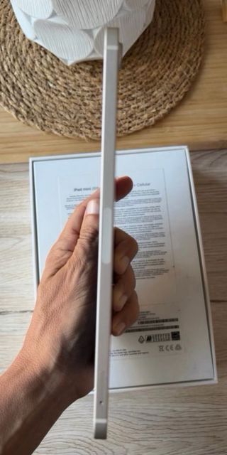 iPad Mini 6 LTE Argento