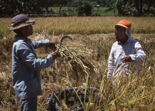 Objetivo Nikon 35-80mm AF