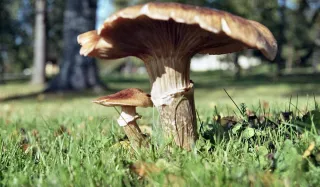 Objetivo Nikon 35-80mm AF