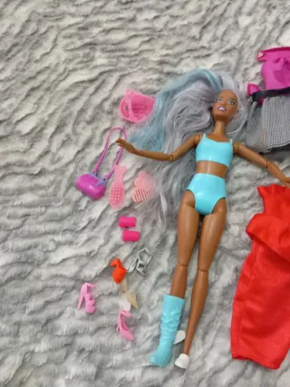 Muñeca Barbie con accesorios