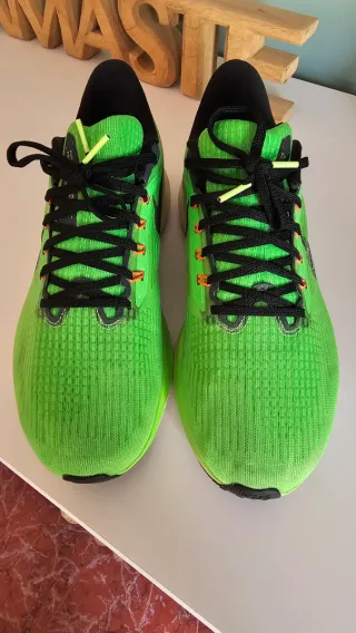 Zapatillas Nike zoom pegasus 39