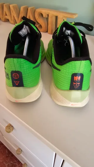 Zapatillas Nike zoom pegasus 39